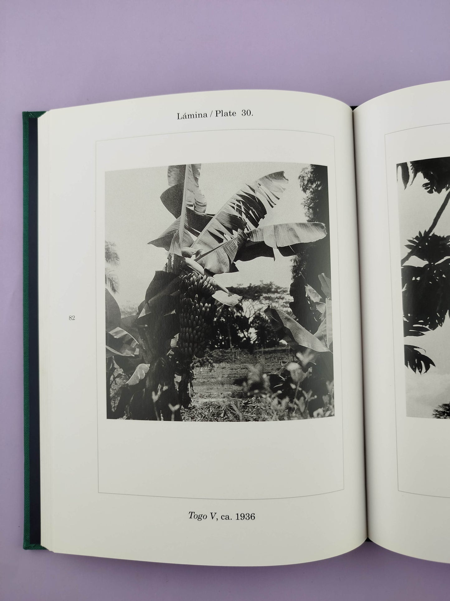 Botánicas/ Botanicals