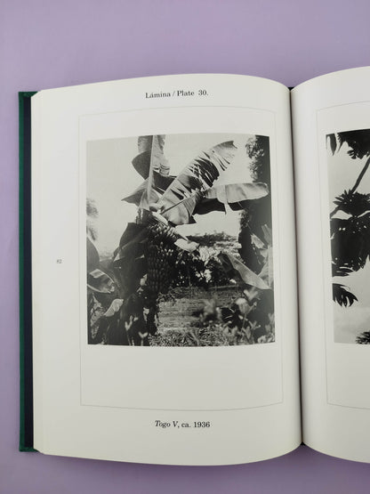 Botánicas/ Botanicals