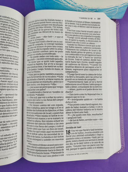 Biblia para niños nvi lila letra grande revisión 2022