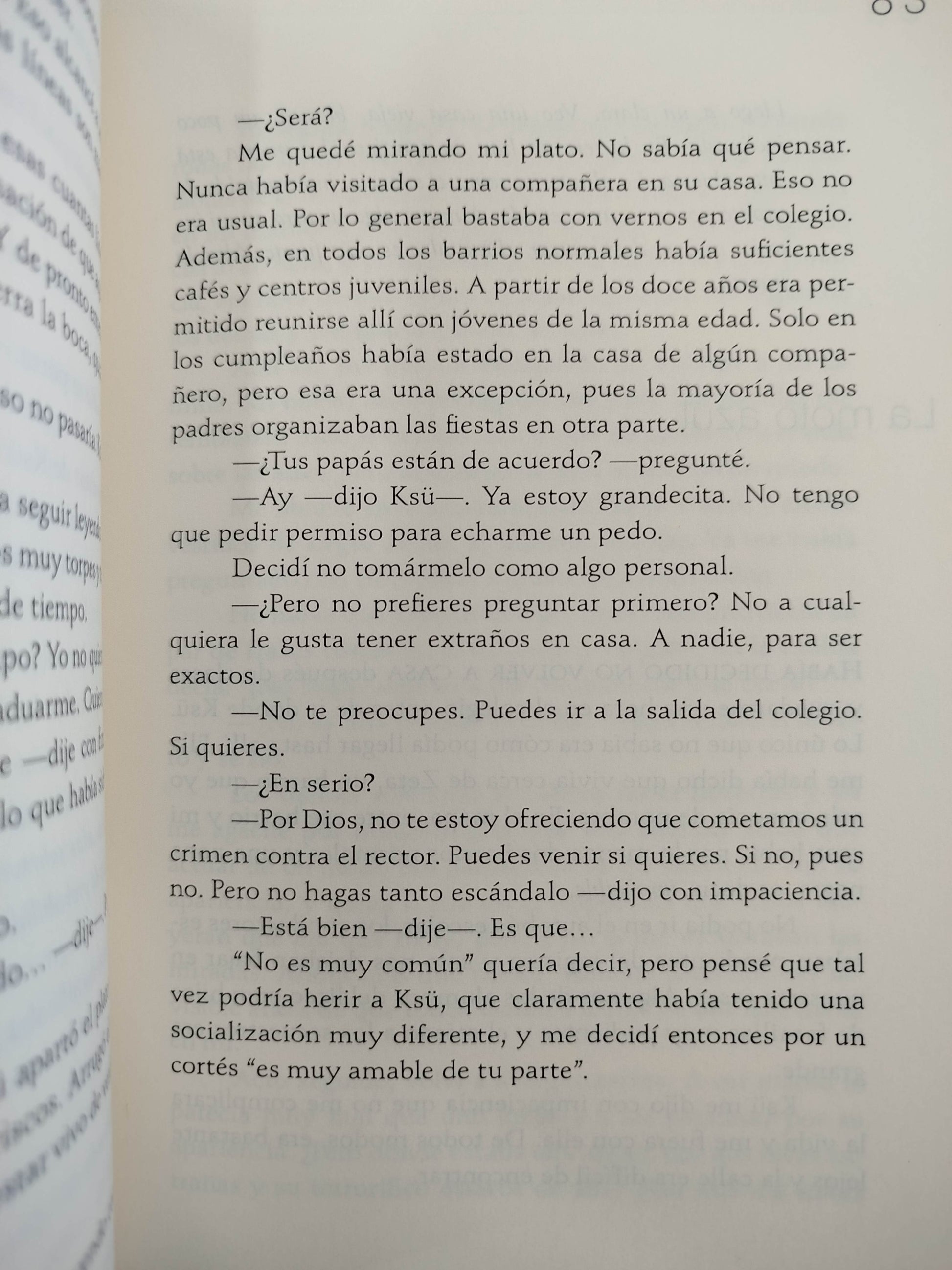 La chica espejo by Alina Bronsky