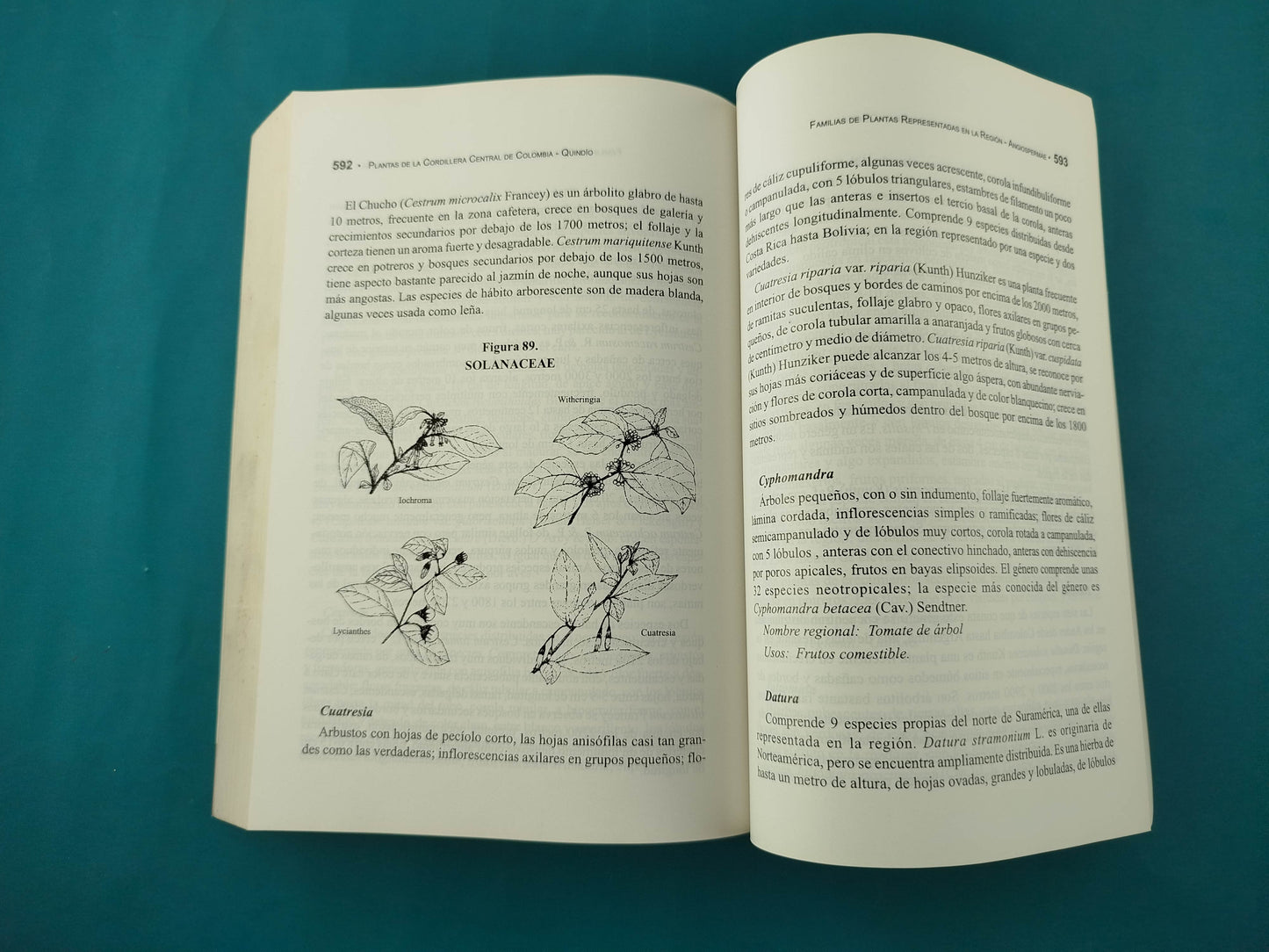 Guía ilustrada de las plantas de las montañas del Quindío y los Andes Centrales