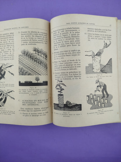 Manual Del Cafetero Colombiano