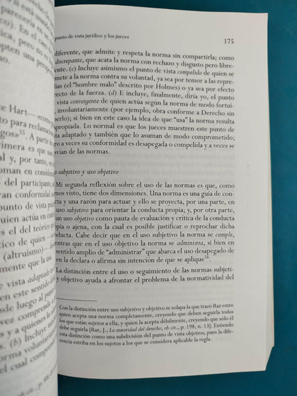Teoría del derecho y argumentación jurídica. Ensayos contemporáneos