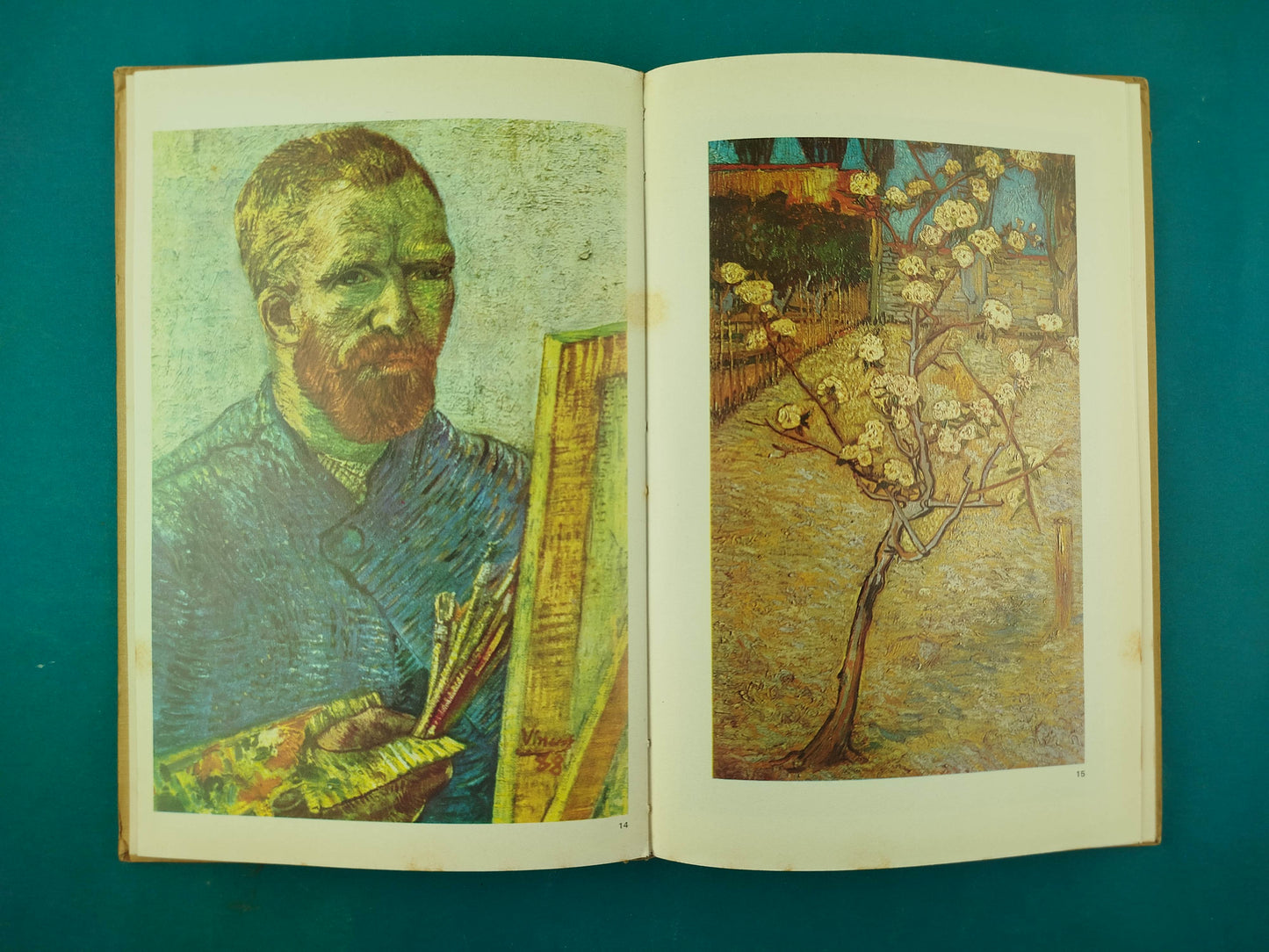 Maestros de la Pintura Van Gogh