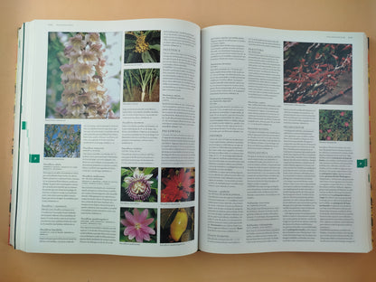 Botanica: Guia ilustrada de plantas