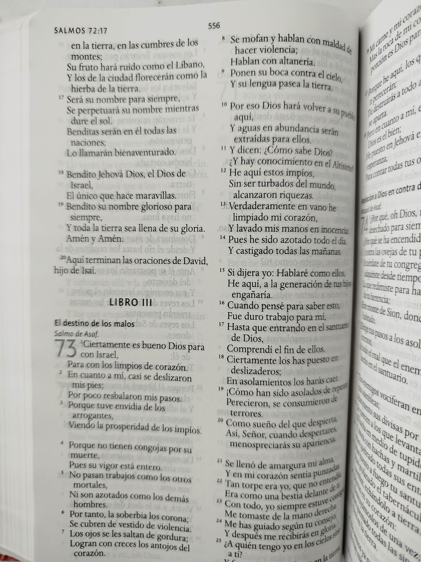 Biblia rvr 1960 letra grande tamaño manual tapa dura tela rosada con flores con imágenes de la tierra santa by Reina Valera 1960
