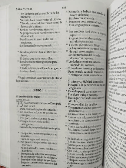 Biblia rvr 1960 letra grande tamaño manual tapa dura tela rosada con flores con imágenes de la tierra santa by Reina Valera 1960