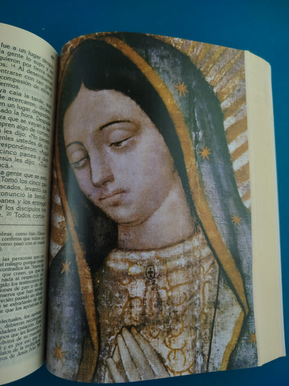 Biblia Latinoamérica Letra Grande Tapa Blanda