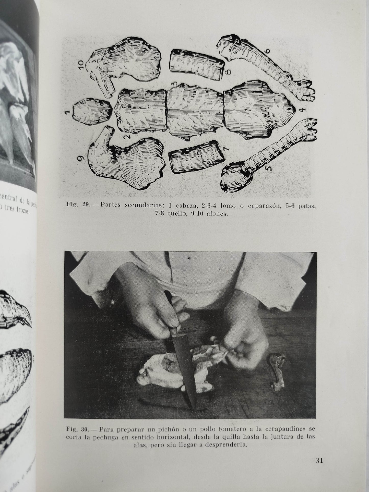 El Arte culinario moderno by Henry Paul Pellaprat