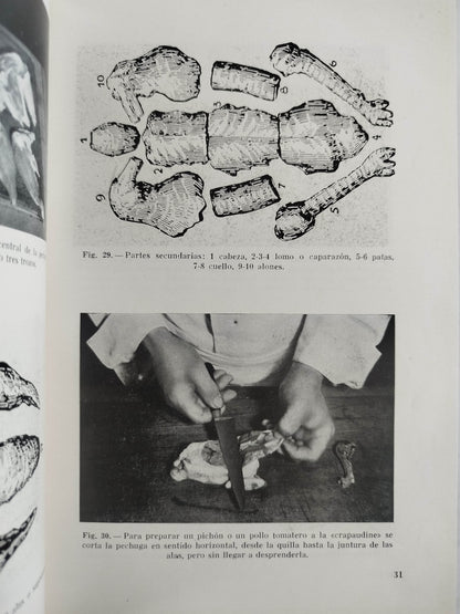 El Arte culinario moderno by Henry Paul Pellaprat