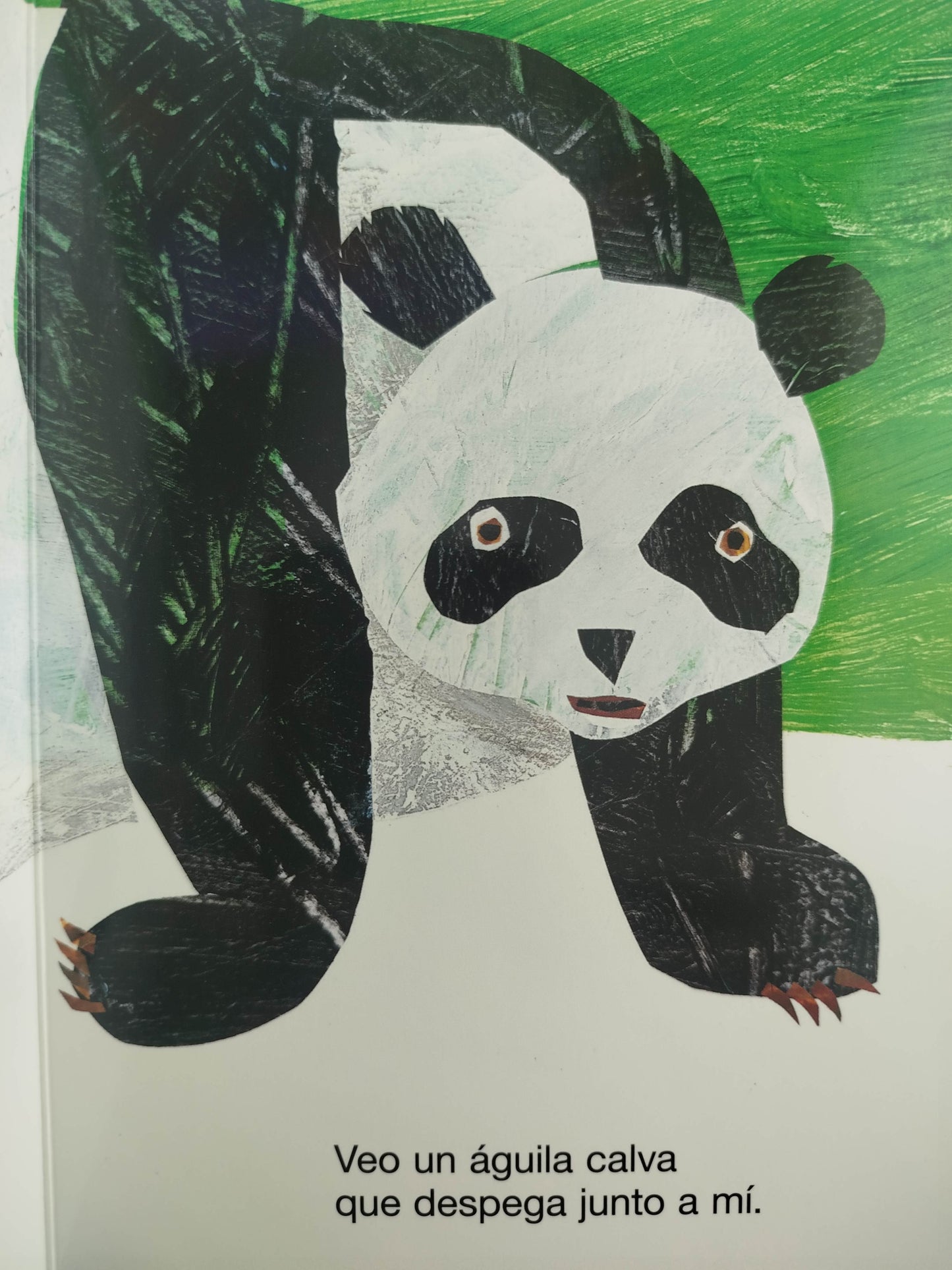 Oso panda, oso panda, ¿qué ves allí? by Eric Carle ; Bill Martin Jr