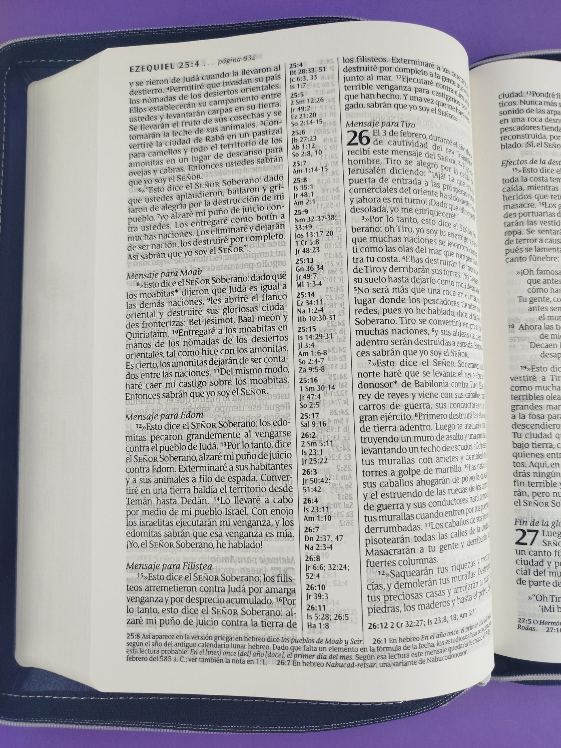 Biblia ntv letra grande sentipiel azul edición ziper con referencias by Nueva Traducción Viviente
