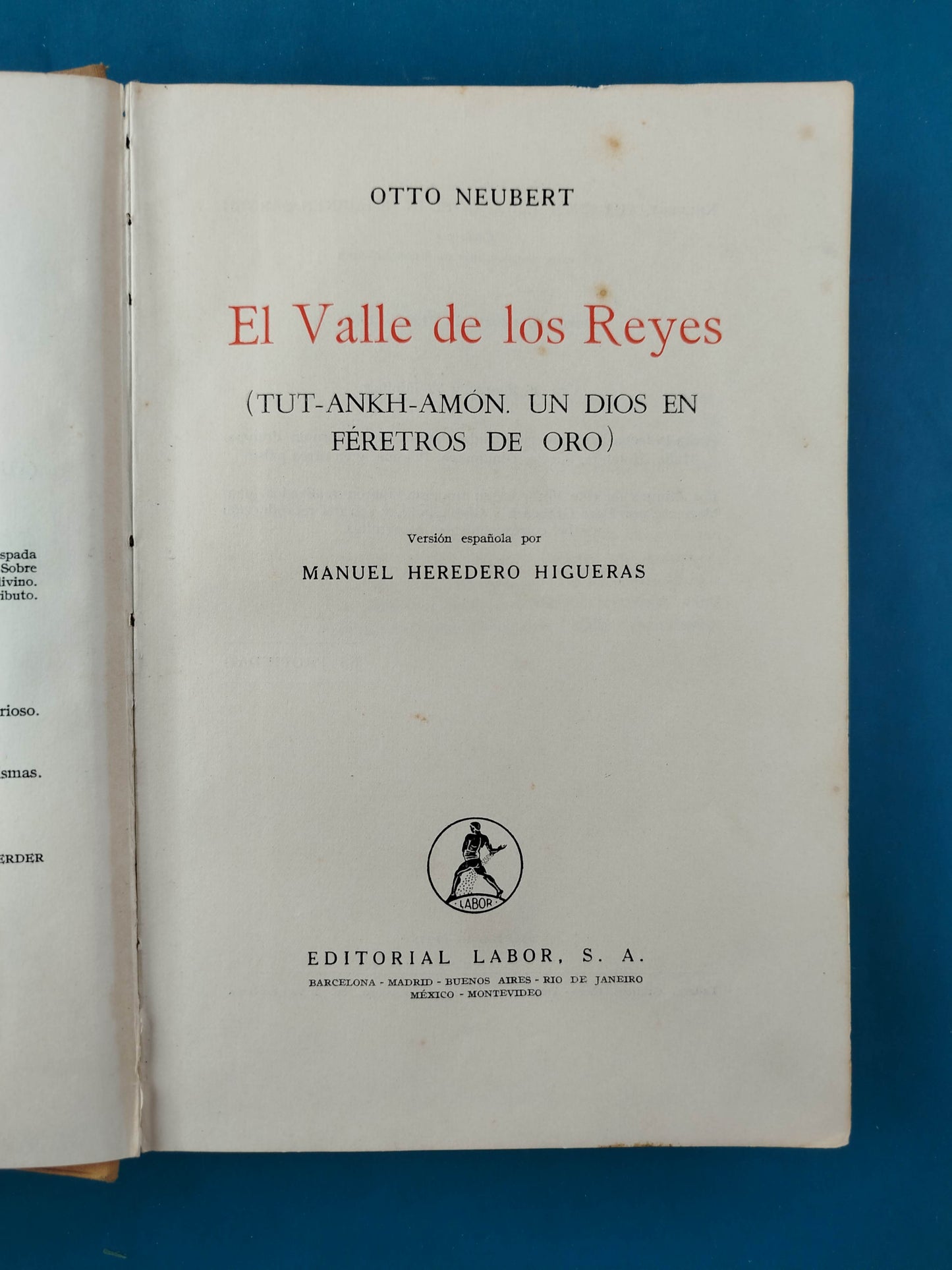 El Valle De Los Reyes