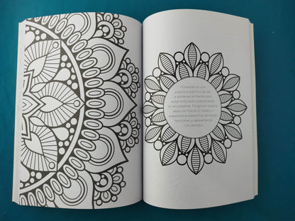 365 Mandalas para meditar todos los días