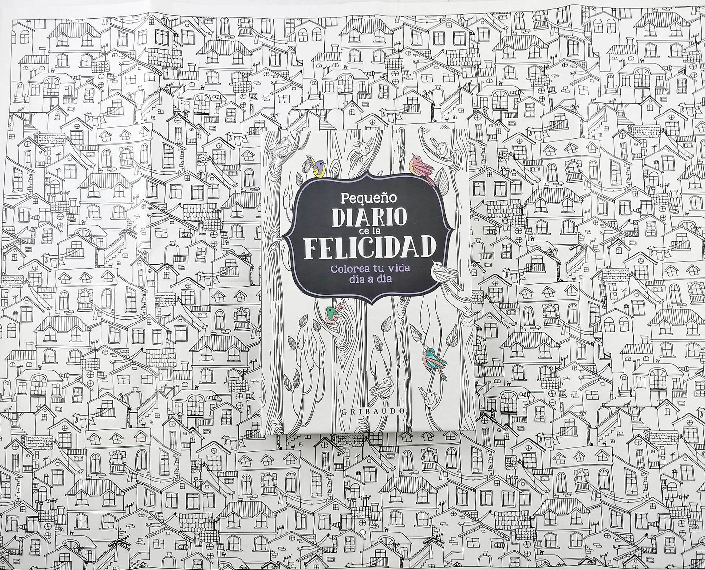 Pequeño diario de la felicidad