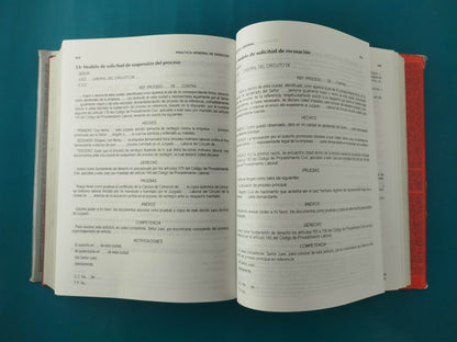 Práctica general de derecho 14a ed