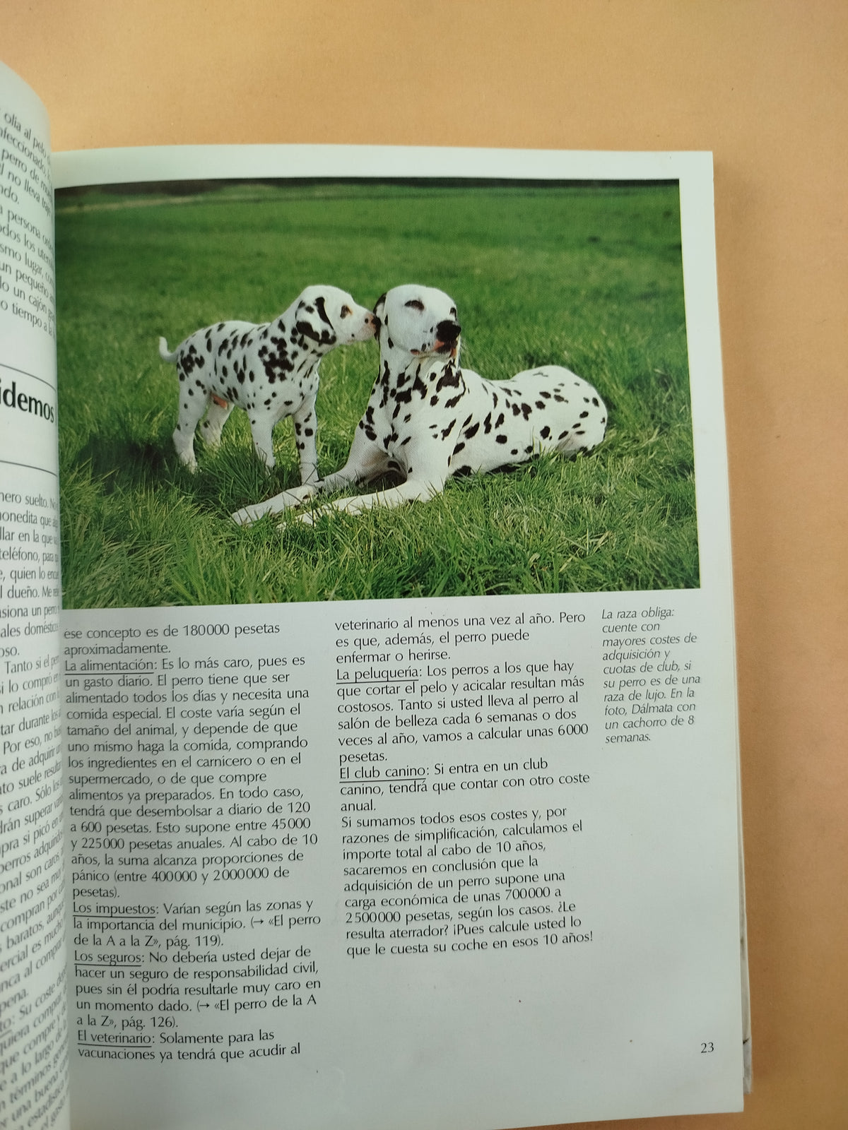 Todo Sobre Tu Perro by Ulrich Klever