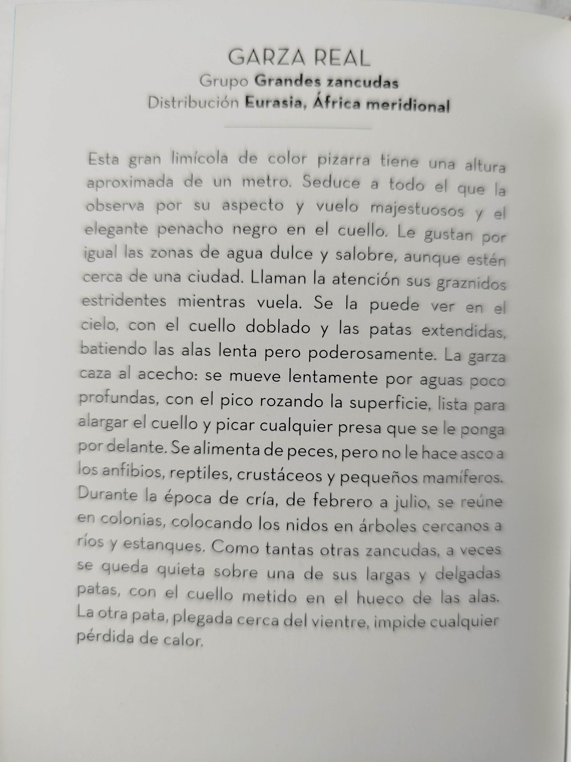 El Pequeño libro de las Aves by Anne Jankeliowitch