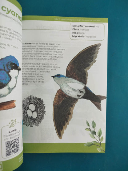 Aves de Cali un libro ilustrado por estudiantes de la universidad icesi