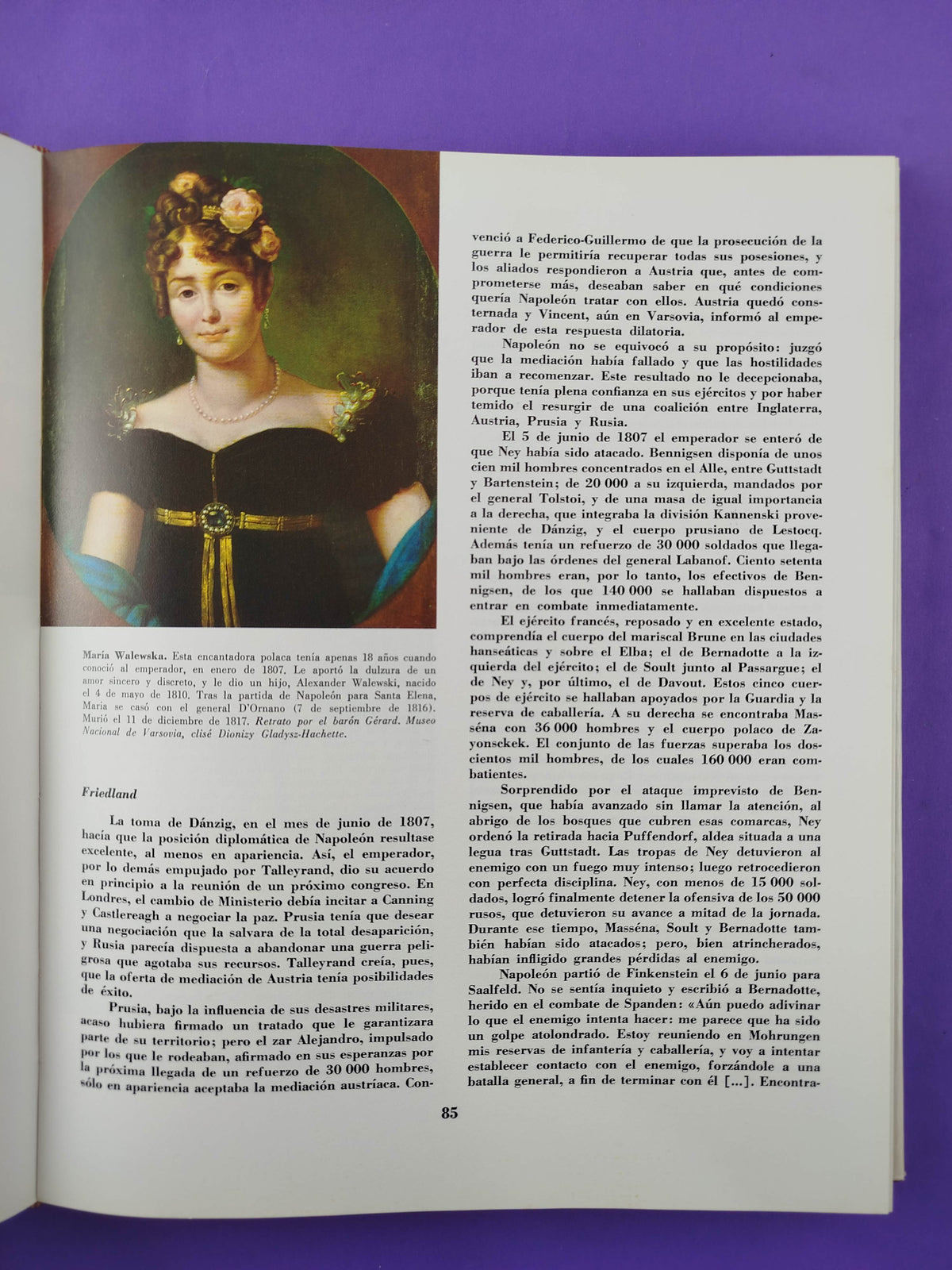 Napoleón. Tomo II by Gaston Bouthoul