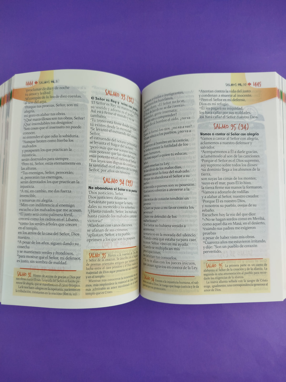Biblia didáctica para jóvenes Rustica by Varios