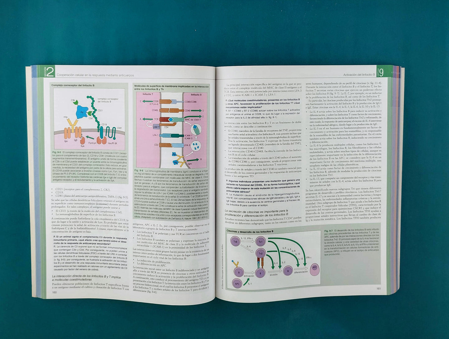 Inmunología octava edición