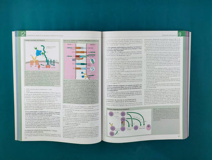 Inmunología octava edición