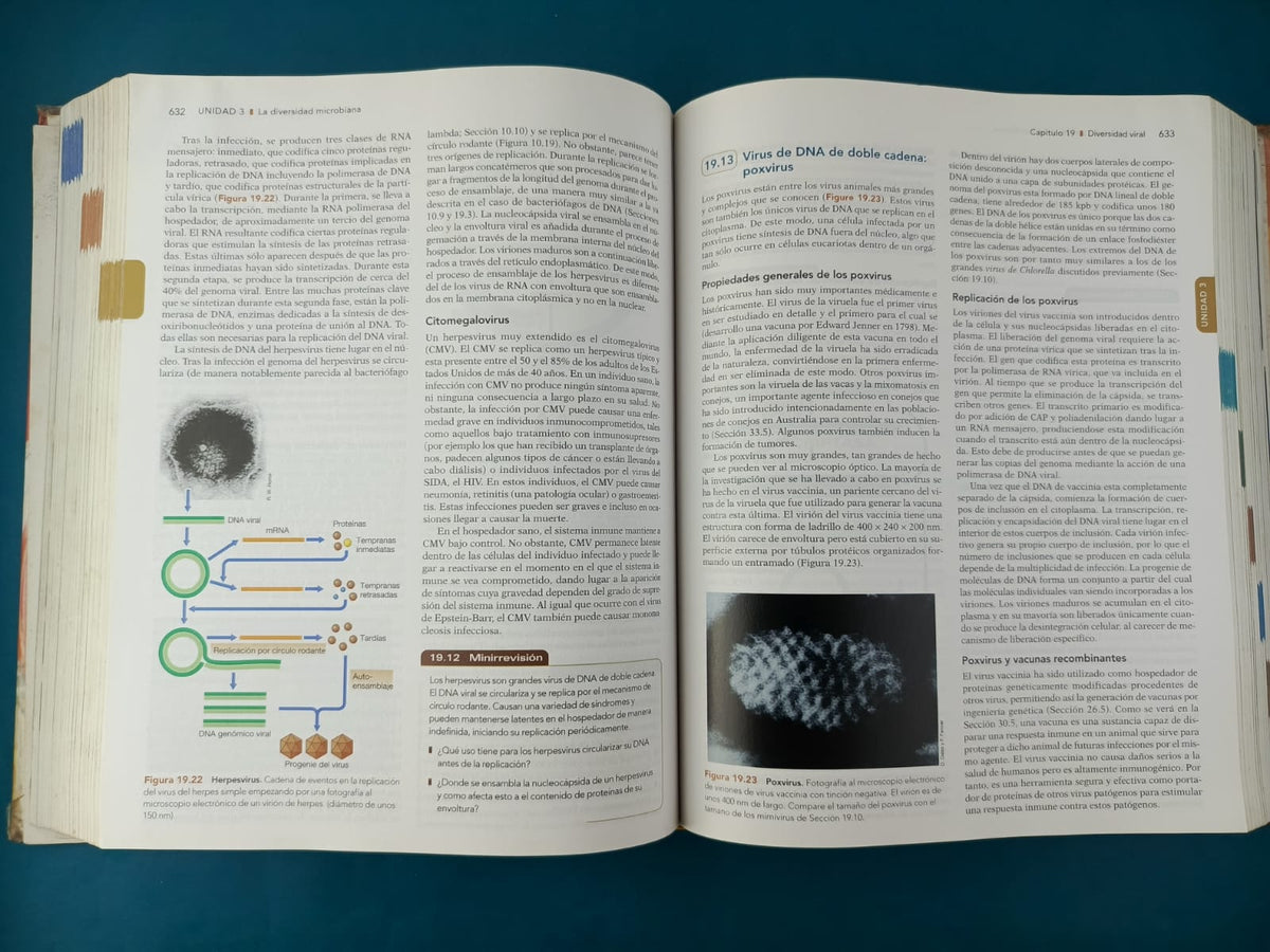 Brock Biologia de los microorganismos 12va Ed by John Martinko
