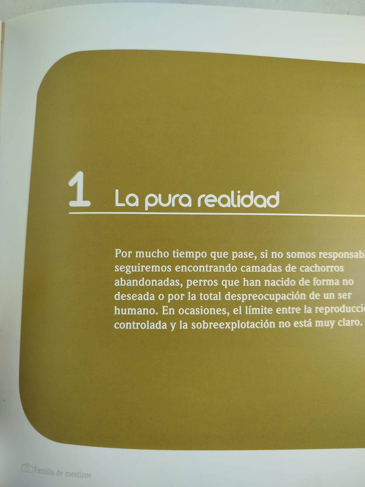 El encantador de perros 12 la sexualidad by Carlos Rodriguez