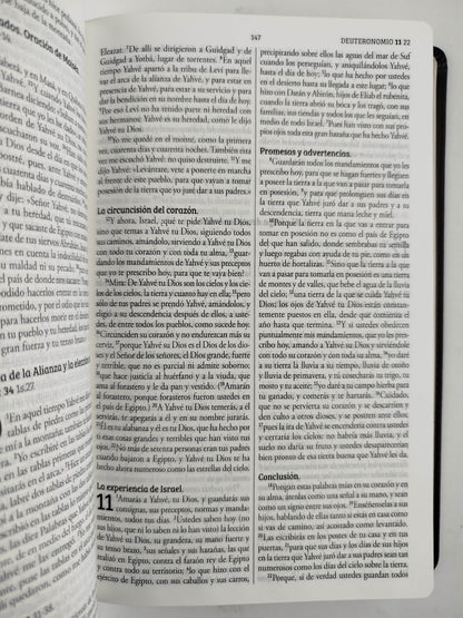 Biblia Católica Biblia de Jerusalén Latinoamericana símil piel marrón by Cipriano Valera