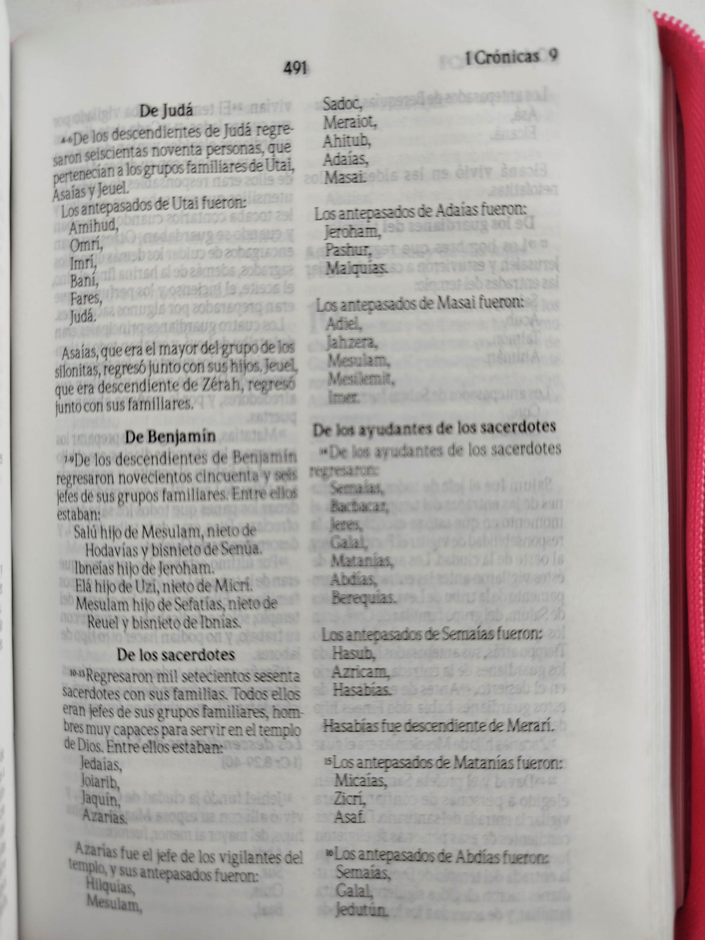 Biblia traducción al lenguaje actual fucsia canto plateado by Varios