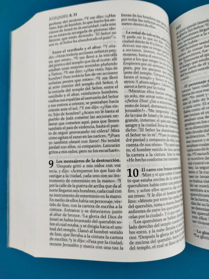 La sagrada biblia de américa primera comunion
