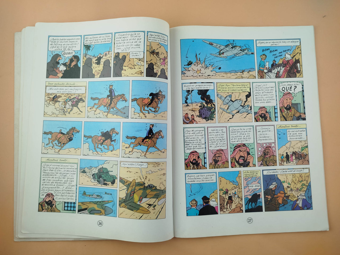 Tintín Stock de Coque