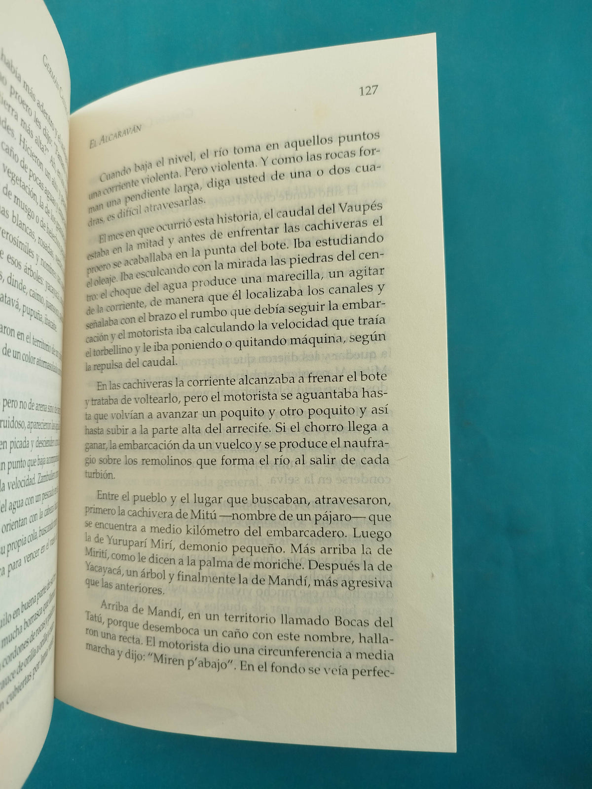 El alcaraván by Germán Castro Caycedo