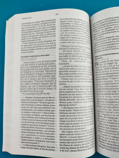 Biblia NVI letra grande rustica naranja
