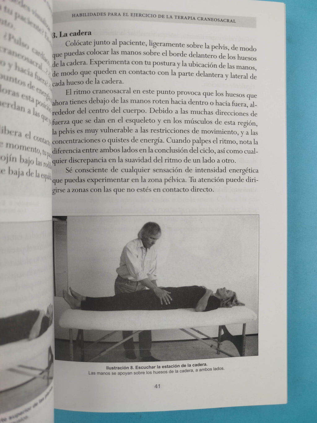 Ritmo y Tacto: Principios Basicos de la Terapia Craneosacral by Anthony P. Arnold
