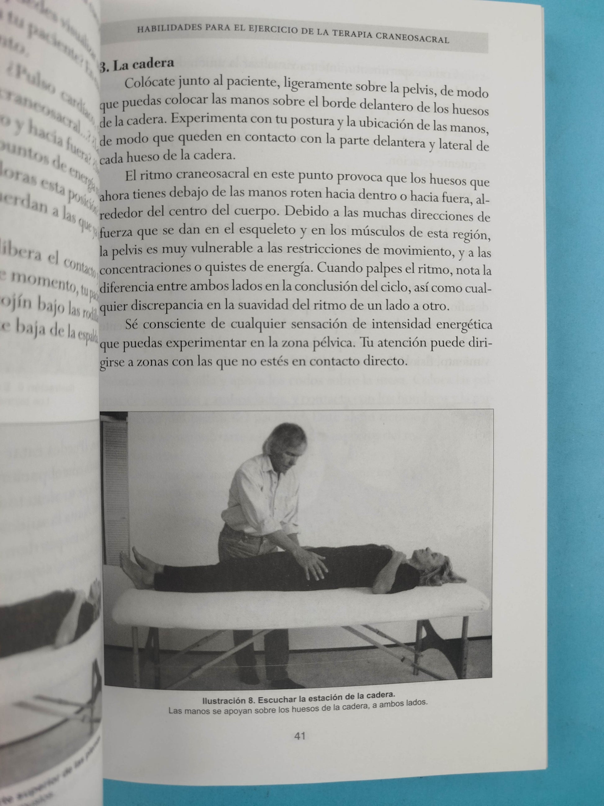 Ritmo y Tacto: Principios Basicos de la Terapia Craneosacral by Anthony P. Arnold