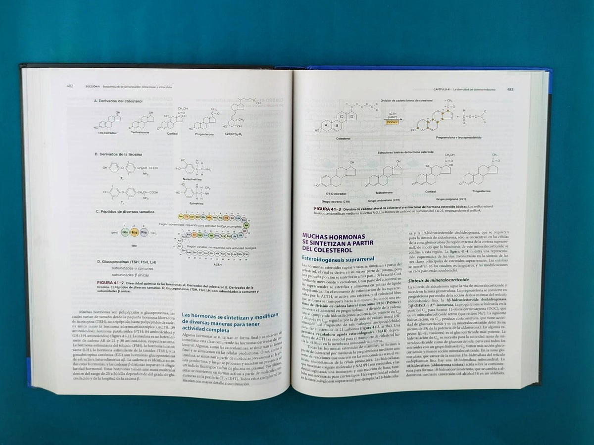 Harper bioquímica ilustrada 29a edición by Murray Bender BOtham Kennelly Rodwell Weil