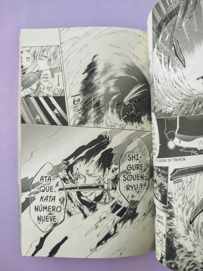 Katekyo hitman reborn N.13