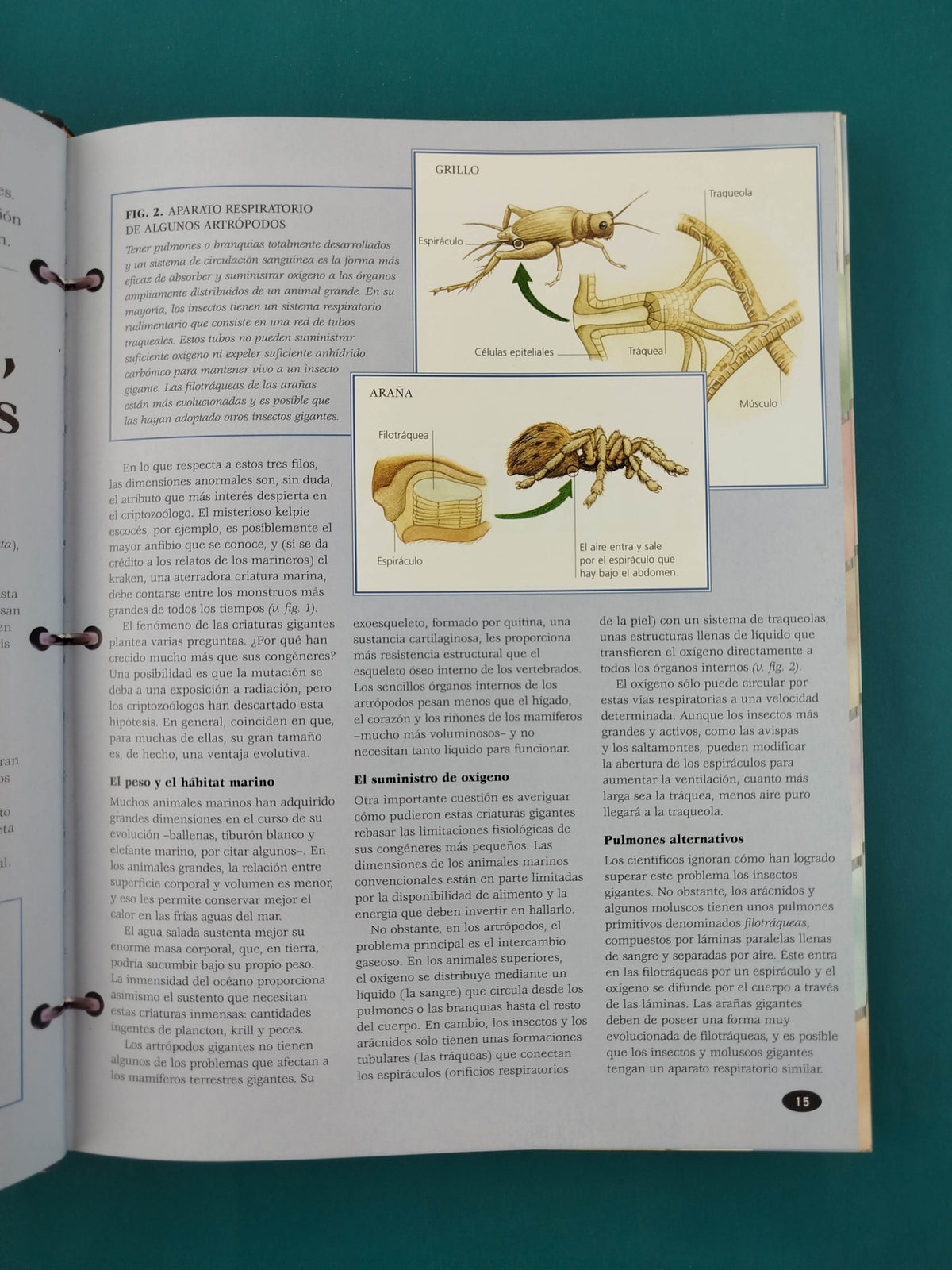 Gran enciclopedia de los seres mágicos by Joel Levy