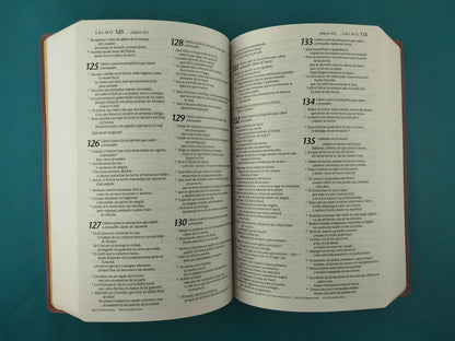Biblia NTV Edición premio y regalo vino tinto