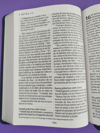 Biblia ntv letra gigante edición manual sentipiel negra by Nueva Traducción Viviente