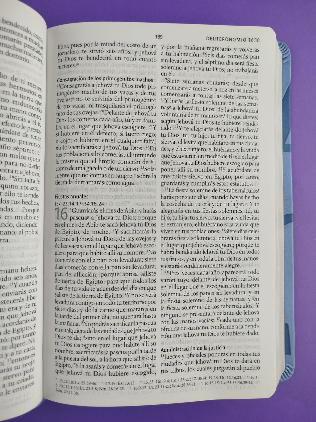 Biblia rvr 1960 nombres de Dios letra grande azul celeste canto plateado by Reina Valera 1960