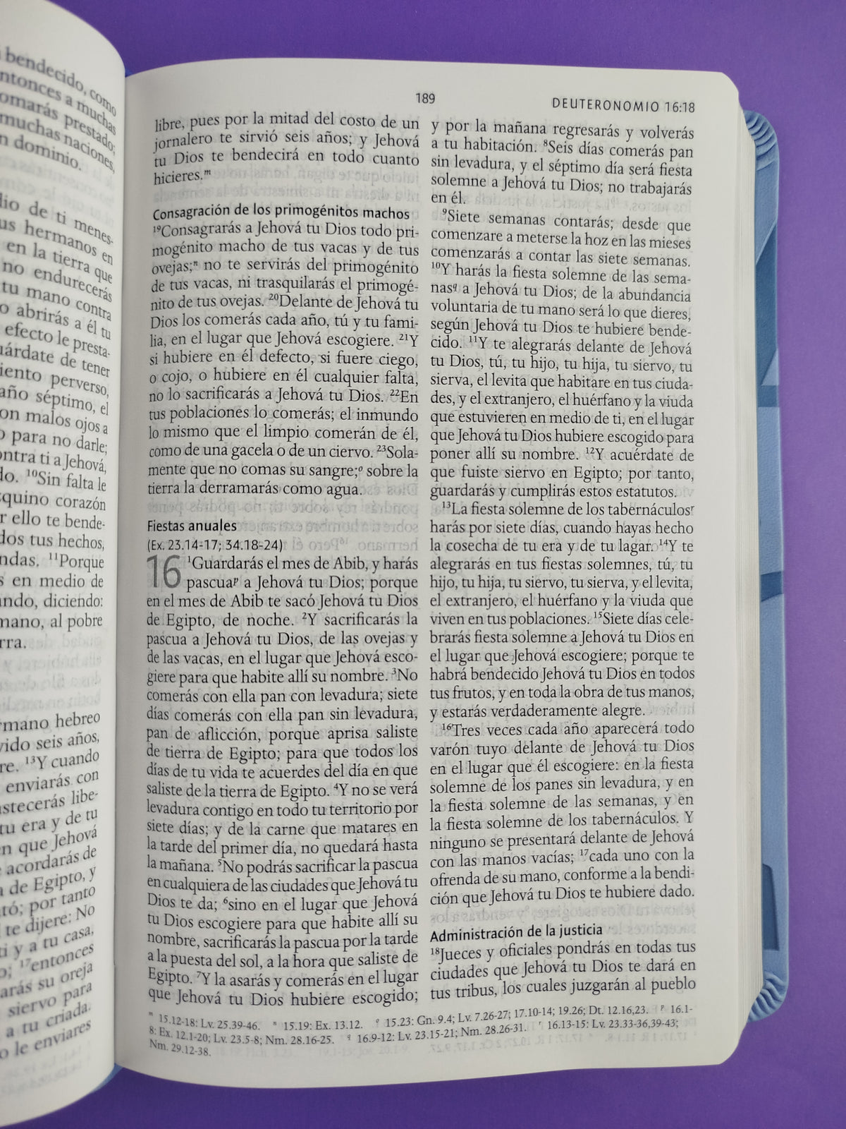 Biblia rvr 1960 nombres de Dios letra grande azul celeste canto plateado by Reina Valera 1960