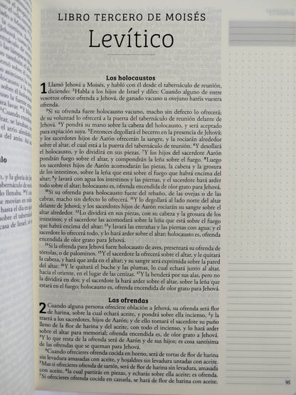 Biblia de Apuntes RVR 1960 Tapa dura, Azul celeste con flores (Edición cantos pintados) by Cipriano Valera
