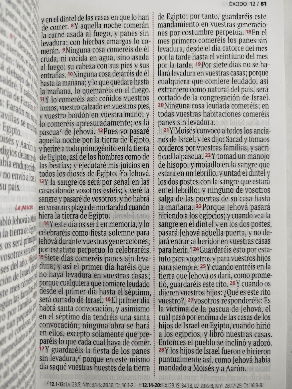 Biblia RVR 1960 letra grande rosada -blanco by Reina Valera 1960