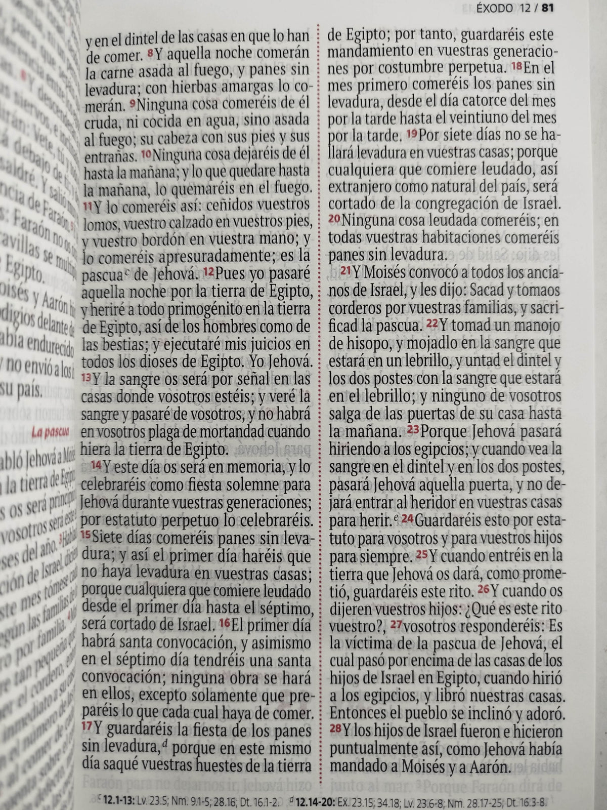 Biblia RVR 1960 letra grande rosada -blanco by Reina Valera 1960