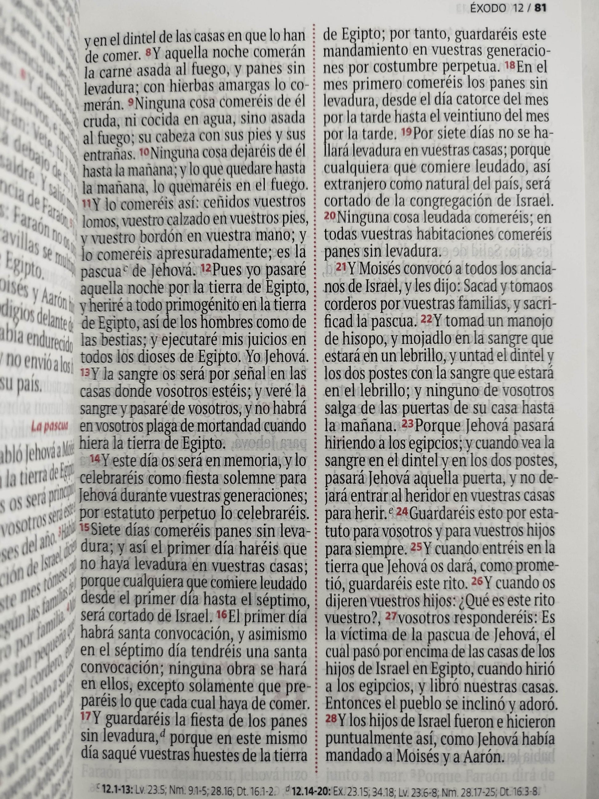 Biblia RVR 1960 letra grande rosada -blanco by Reina Valera 1960