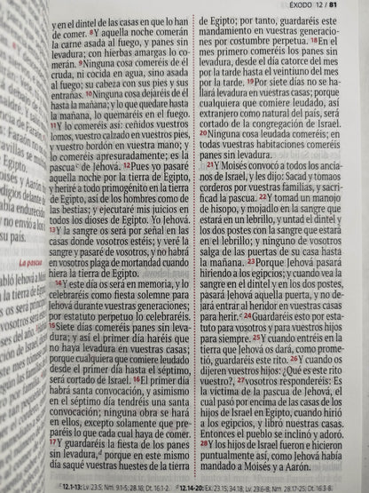 Biblia RVR 1960 letra grande rosada -blanco by Reina Valera 1960