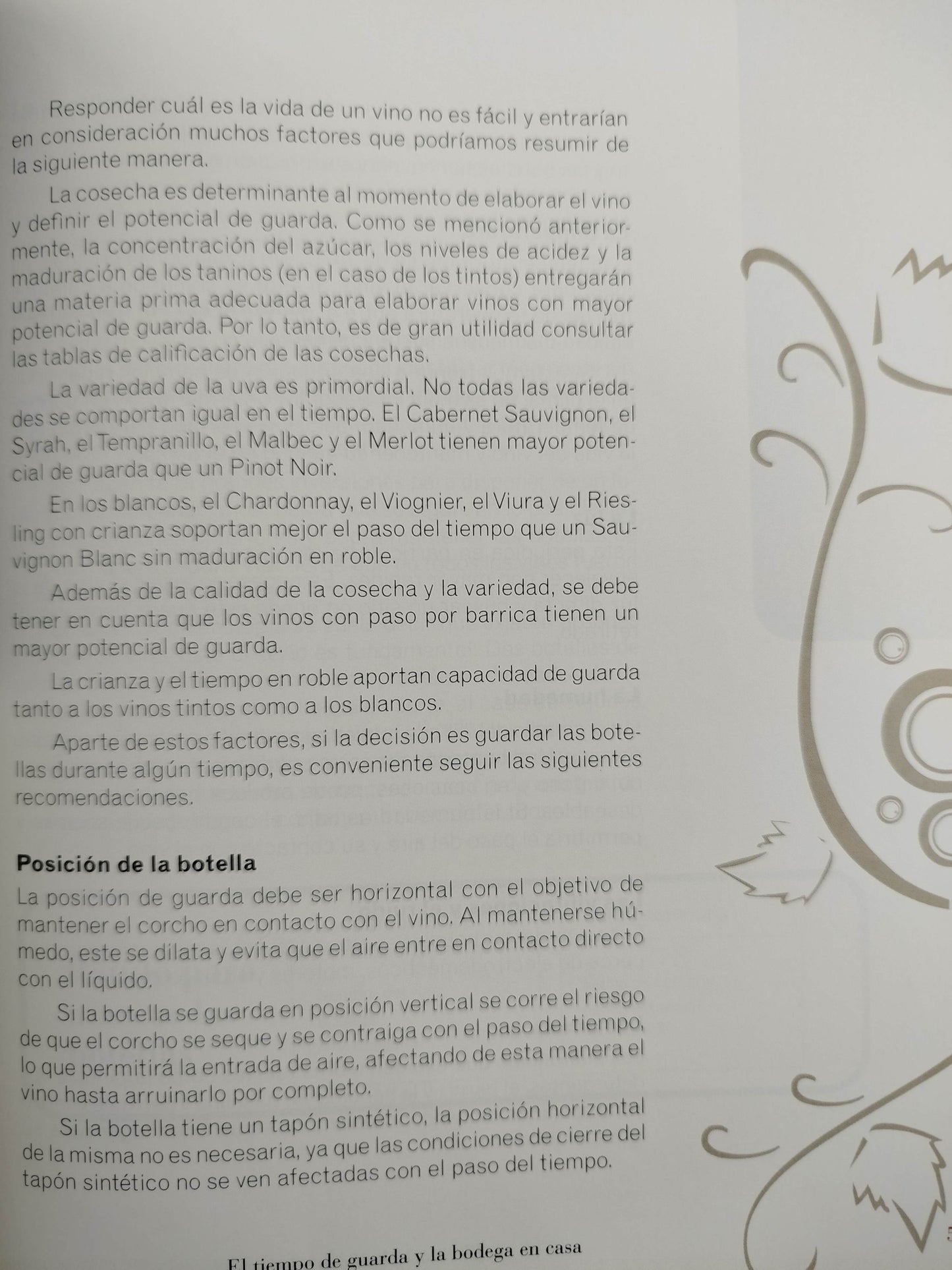 Cata De Vinos Paso A Paso by luis Guillermo Velásquez